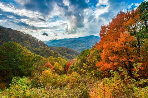 Fall Colors - Blue Ridge Parkway (U.S. National Park Service)