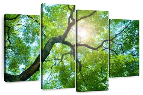 Tree Canopy Sunshine Wall Art | Photography