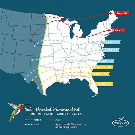 Ruby-Throated Hummingbird Migration