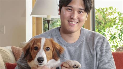 Baseball: New Dodger Shohei Ohtani flicks the script with unusual dog name