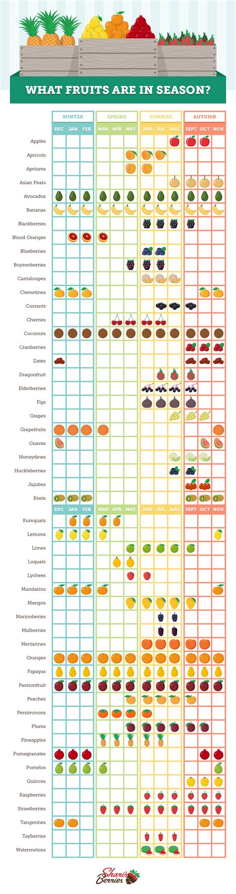 Seasonal Fruit Chart