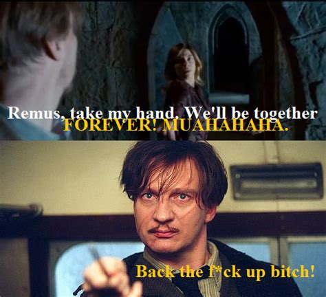 Funny Harry Potter Captions | Not a typical Tonks and Remus shipper. I ...