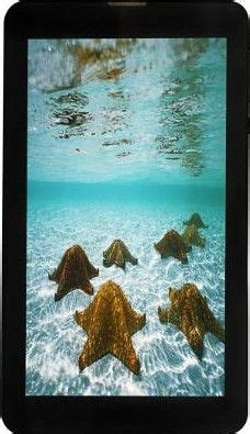 Zync Z99 3G Tablet Price in India 2024, Full Specs & Review | Smartprix