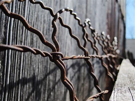 metal fence | Nan Palmero | Flickr