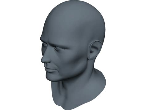 Human Face 3D Model - 3DCADBrowser