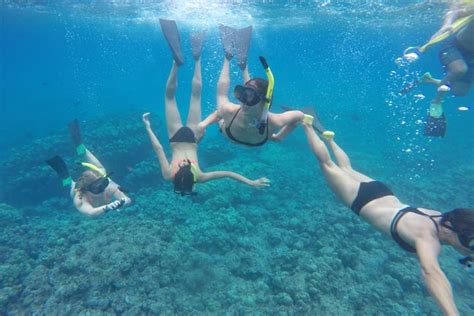 The best Oahu and Honolulu snorkeling tours