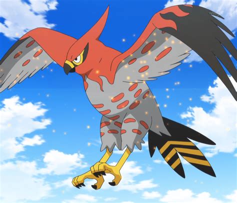 24 Fascinating And Amazing Facts About Talonflame From Pokemon - Tons ...