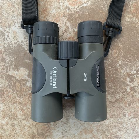 How to Identify Birds: Bring Birds into View using Binoculars — Basics ...