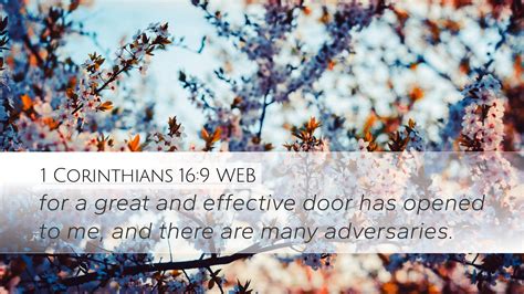 1 Corinthians 16:9 WEB Desktop Wallpaper - for a great and effective door has opened to me,