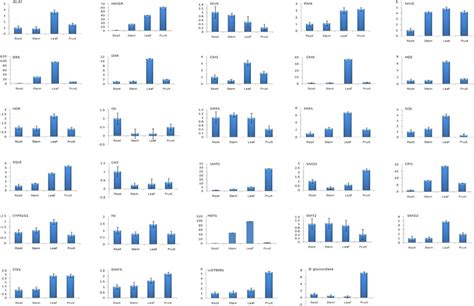 Expression pattern of steroidal saponin biosynthesis pathway genes in ...