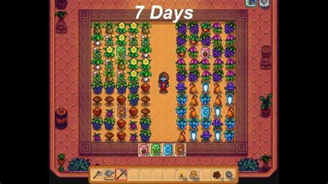 √ Summer Seeds Stardew Valley : Stardew Valley 1 4 Crop Guide For ...