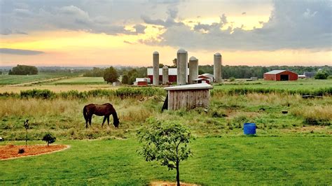 Wisconsin dairy farms weigh their future