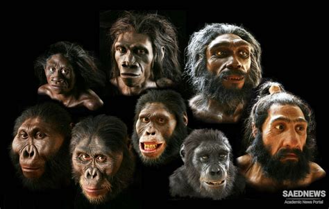 Human Evolution and Technological Advancement of Society | saednews