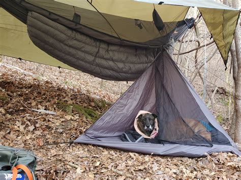 Pup Tent - Dog Camping Gear | DutchWare Camping