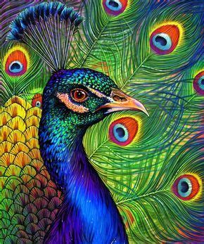 Peacock Drawing , an art print by Morgan Davidson | Peacock drawing, Peacock art, Peacock wall art