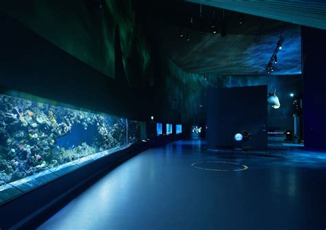 LED Lighting for Public Aquarium |Orphek