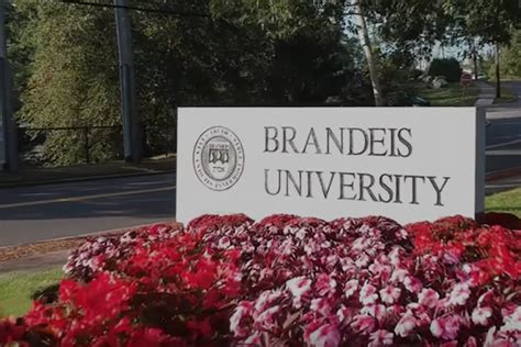 About Brandeis International Business School