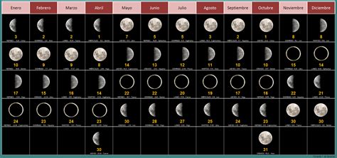 Cuánto dura cada FASE LUNAR? -【 Calendario 2022