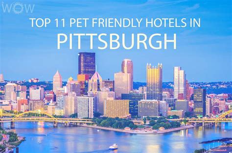Top 11 Pet Friendly Hotels in Pittsburgh | WOW Travel