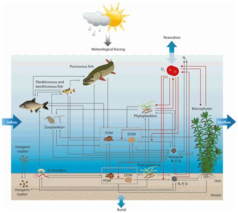 GMD - Water Ecosystems Tool (WET) 1.0 – a new generation of flexible aquatic ecosystem model