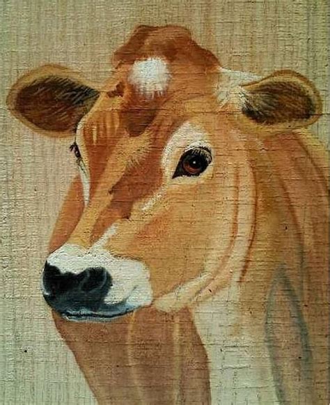 Jersey | Cow paintings on canvas, Cow art, Cow painting