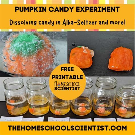 110 Awesome Chemistry Experiments For All Ages - The Homeschool Scientist