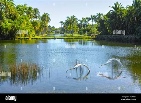 Fairchild Tropical Gardens. Florida. USA Stock Photo - Alamy