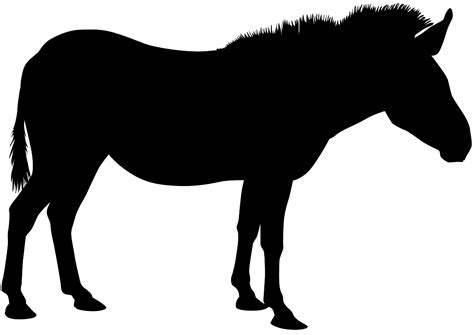 Zebra Silhouette | Free vector silhouettes