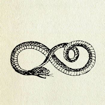 Snake drawing | Explore Vintage Collective's photos on Flick… | Flickr - Photo Sharing!