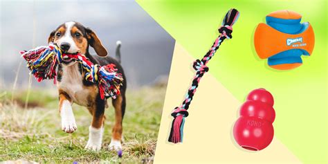 Safe And Durable: How To Select Long-lasting Dog Toys