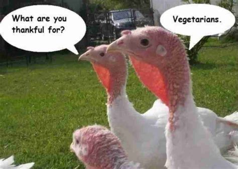 40+ Funny Happy Thanksgiving Day Memes 2020 - Guide For Moms