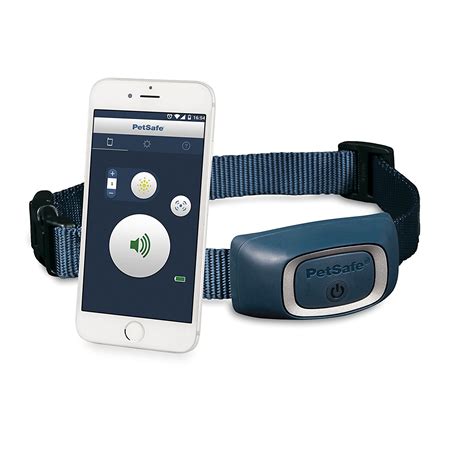 PetSafe SMART DOG Bluetooth Training Collar Review - Dog N Treats