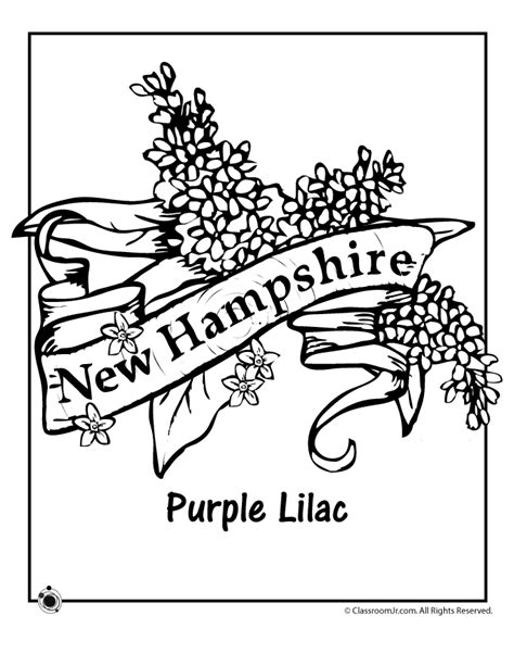 images of new hampshire state flower - Brittni Gerard