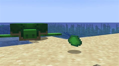 How to get the turtle helmet in Minecraft 1.19