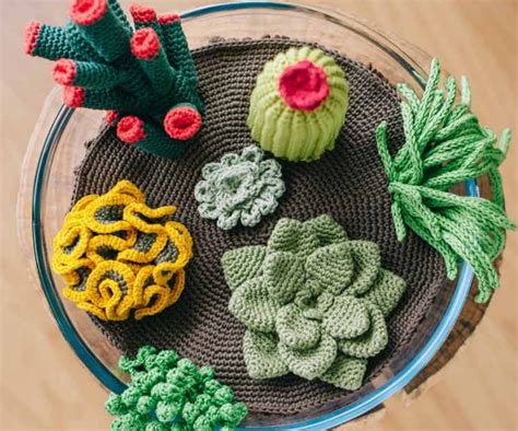 Free Crochet Pattern for Succulents Plants