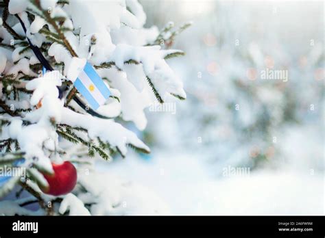 Christmas Argentina. Xmas tree covered with snow, decorations and a ...