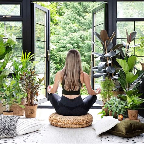 Conservatory plant ideas – the best plants for a garden room