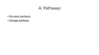 Purines synthesis and catabolism process | PPT