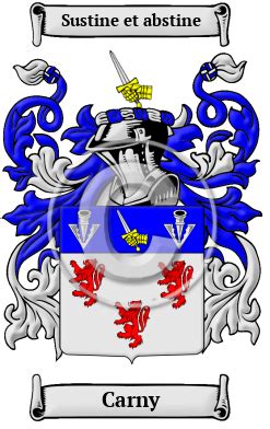 Carny Name Meaning, Family History, Family Crest & Coats of Arms