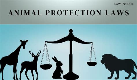 Amendment in Animal Protection Laws - Need of the Hour - LAW INSIDER INDIA- INSIGHT OF LAW ...