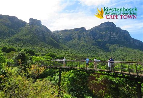 A visit to Kirstenbosch Botanical Gardens, Cape Town