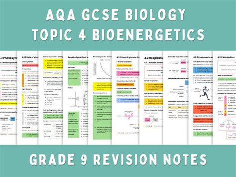 Topic 4 Bioenergetics (photosynthesis, respiration) concise revision notes | AQA GCSE Biology ...