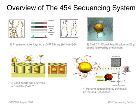 Next Generation Sequencing Platforms