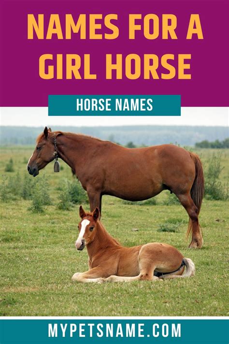 Girl Horse Names | Horse names, Horses, Horse names unique