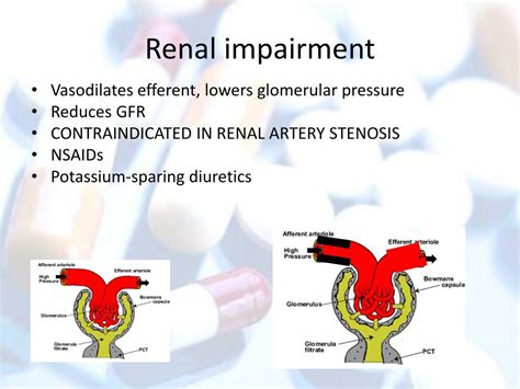 PPT - ACE Inhibitors PowerPoint Presentation, free download - ID:2740512