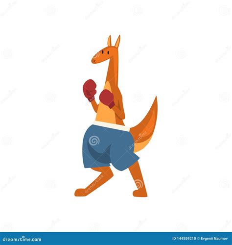 Kangaroo Boxer with Boxing Gloves, Sportive Humanized Animal Cartoon Character Vector ...