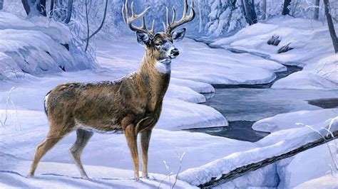 Deer Hunting Backgrounds - Wallpaper Cave