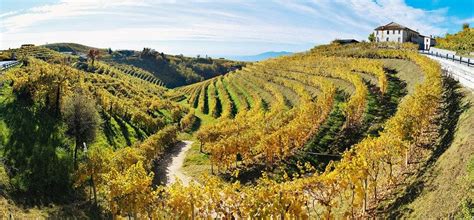 Discover the Wine Region of Veneto Italy • Winetraveler