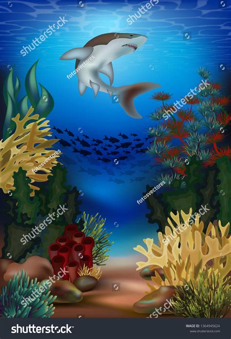 Underwater Wallpaper Shark Vector Illustration Stock Vector (Royalty ...