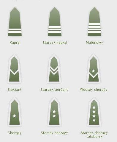 Poland - Land and Air Forces Rank